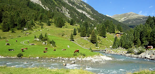 wandlen sterreich wandern in 214 sterreich wanderurlaub rund um k 246 nigsleiten wandlen sterreich wandern in 214 sterreich wanderurlaub rund um k 246 nigsleiten