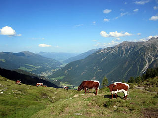 leitenkammersteig10g.jpg