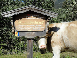 krummbachtal02g.jpg